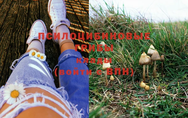 винт Белоозёрский