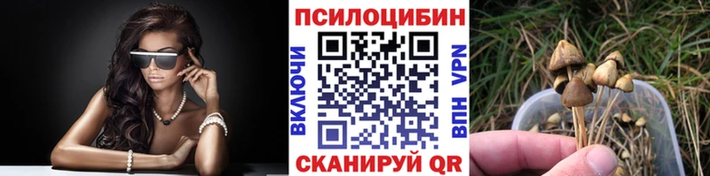мега онион  Павловская  Псилоцибиновые грибы мухоморы  закладка 