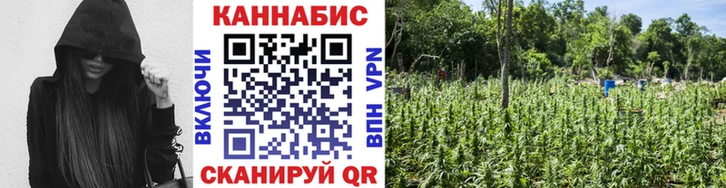 Бошки марихуана марихуана  Павловская 